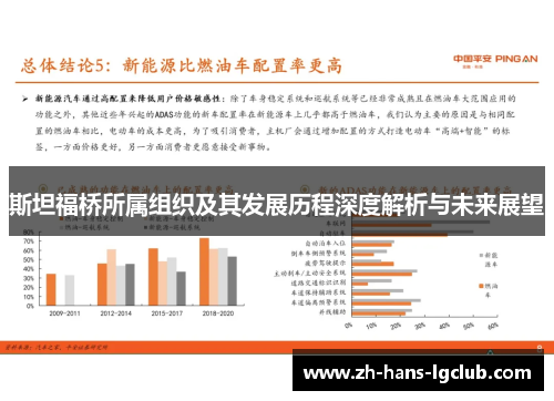 斯坦福桥所属组织及其发展历程深度解析与未来展望